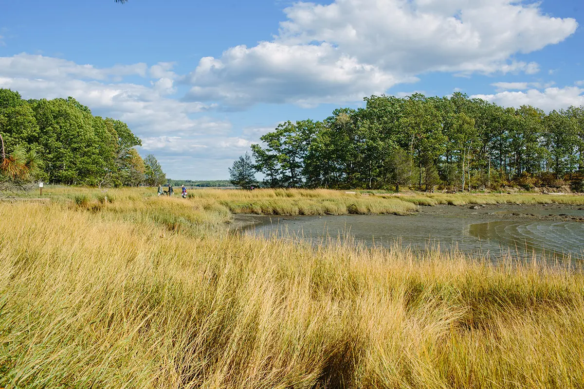 Life in Great Bay Diagram
