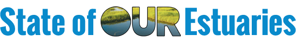 Visit State of Our Estuaries Website