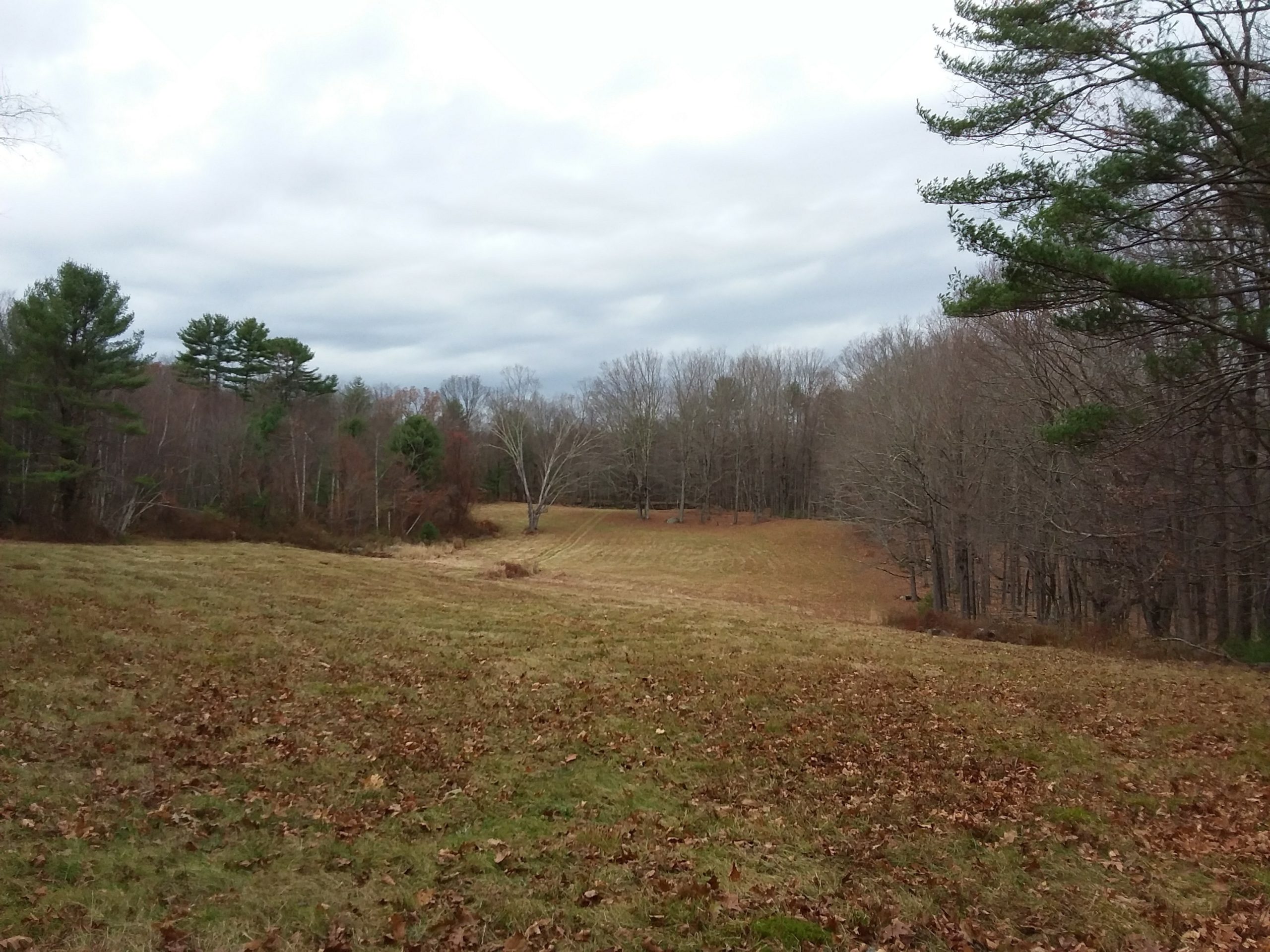 Grant Conservation Transaction Costs Piscataqua Regional Estuaries