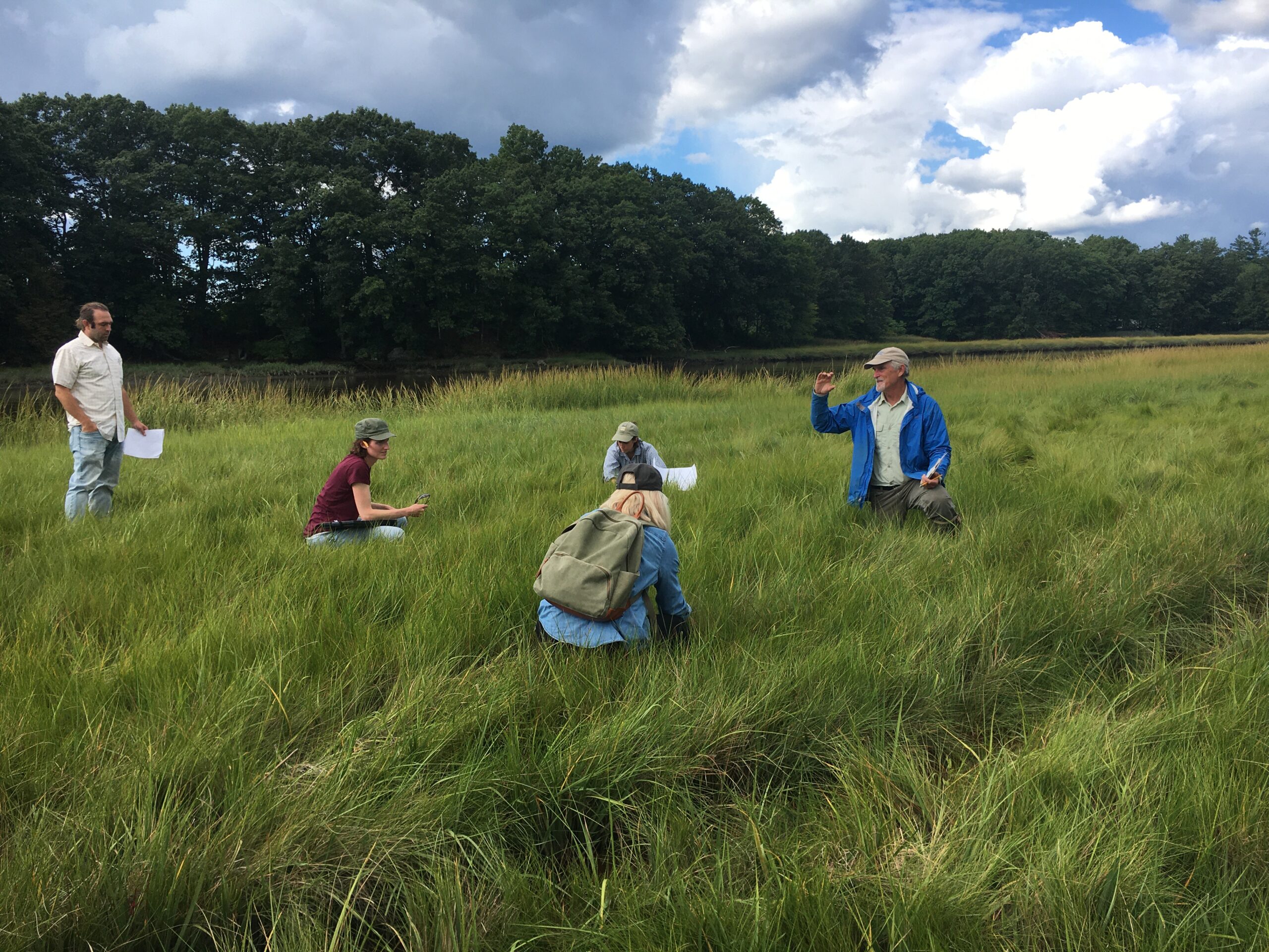 Five scientists working together in a salt marsh.