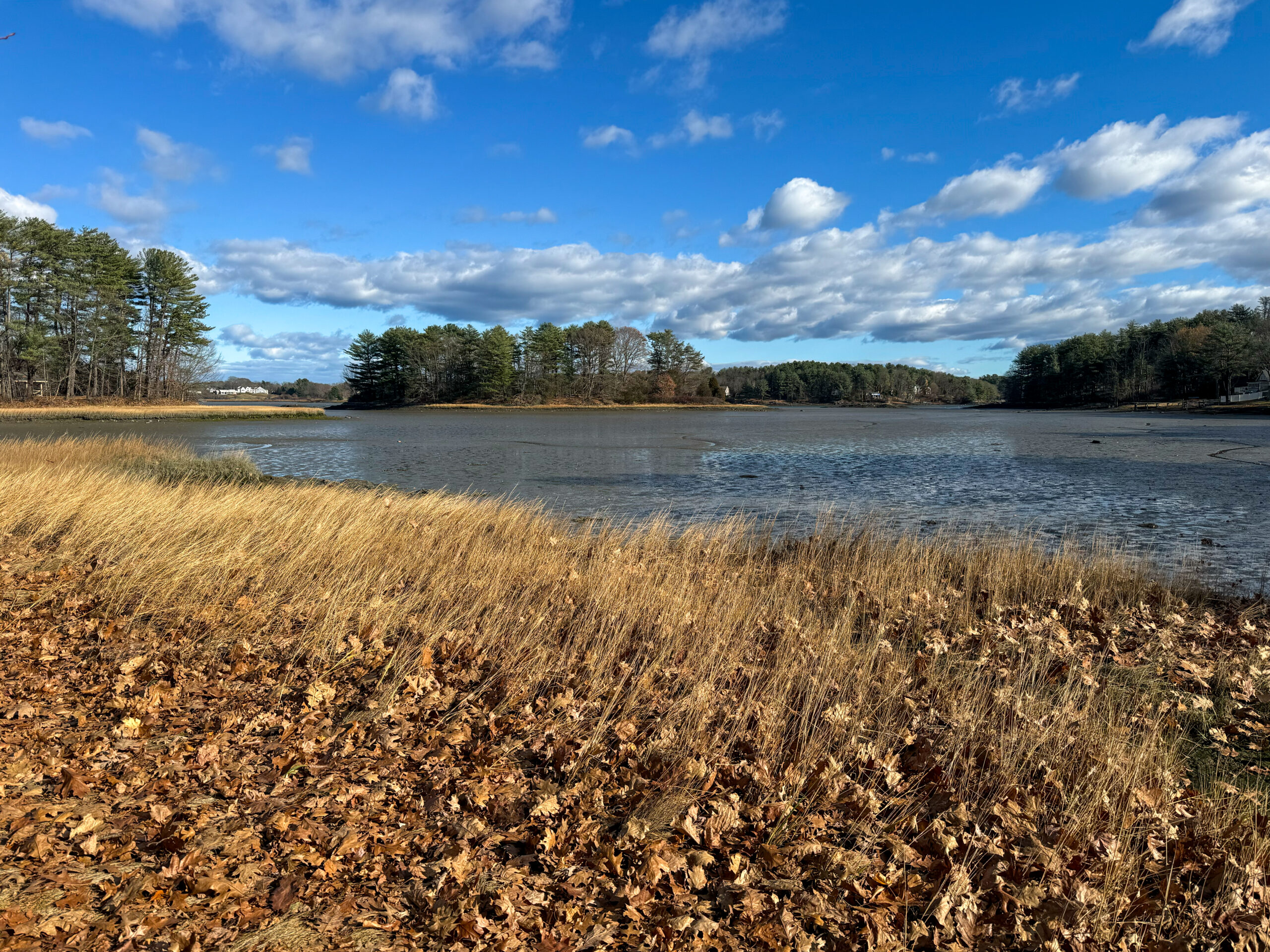 The shoreline of Spruce Creek featuring golden marsh grasses, low tide, and Ram Island.